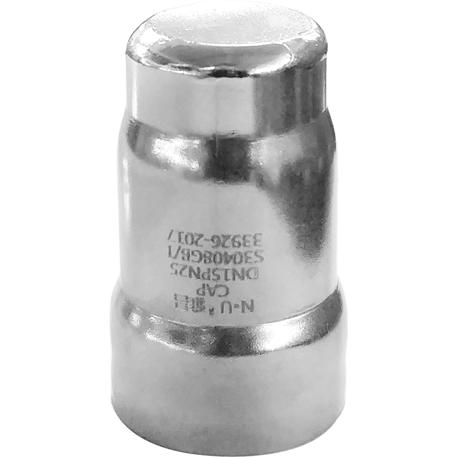 Pipe cap