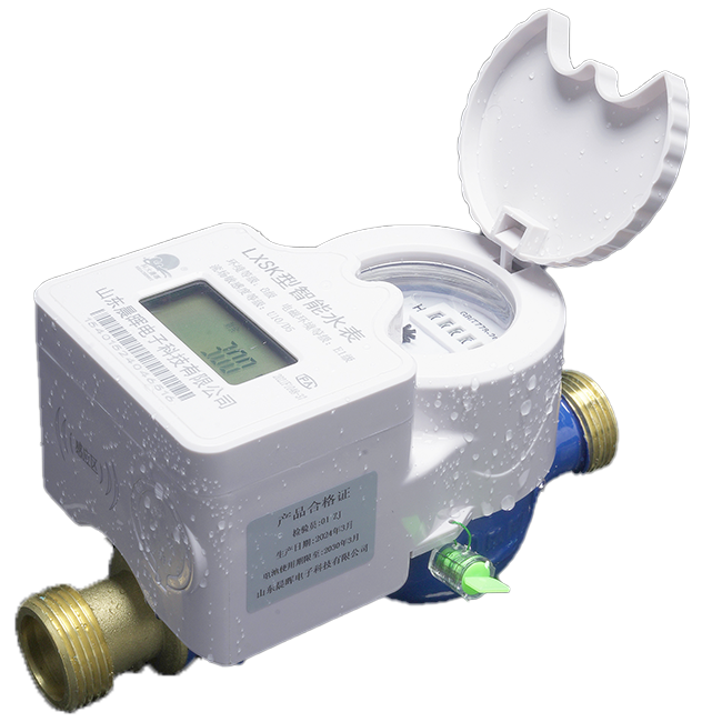 LXSK- D-type IC card smart water meter