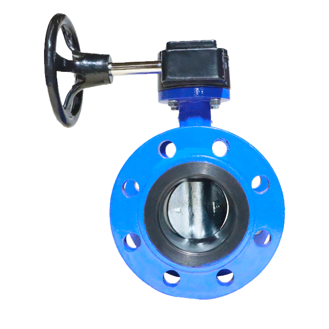 Flanged center line soft seal butterfly valve