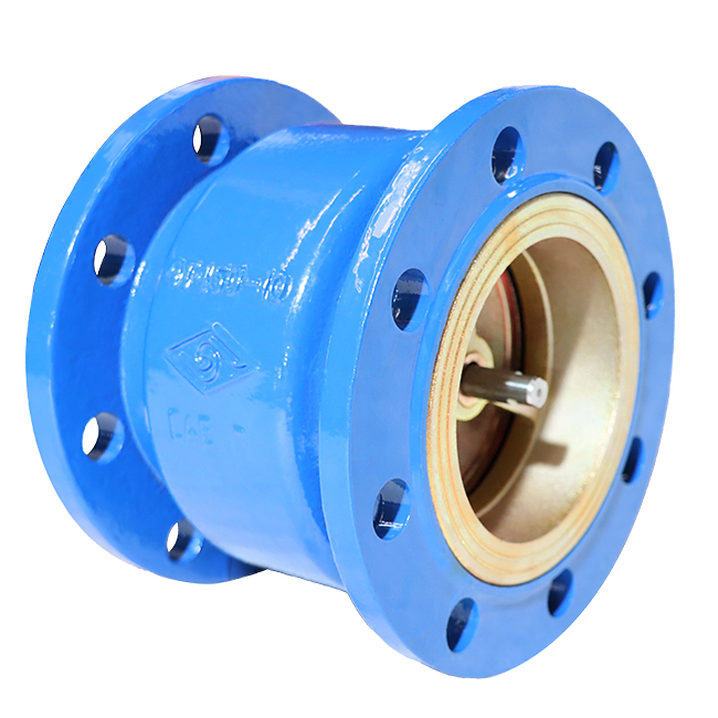 Silencer check valve