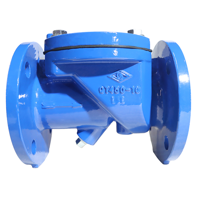 Rubber flap check valve