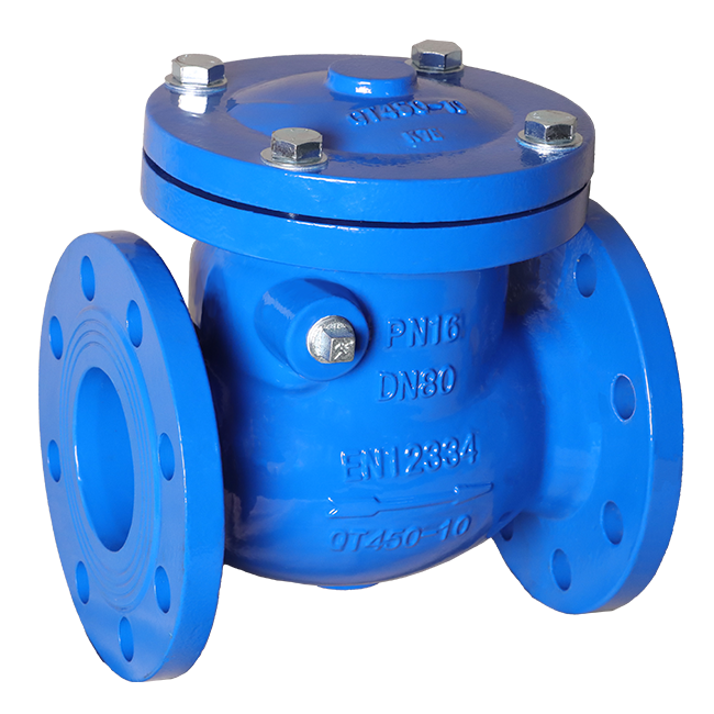 Flange swing check valve